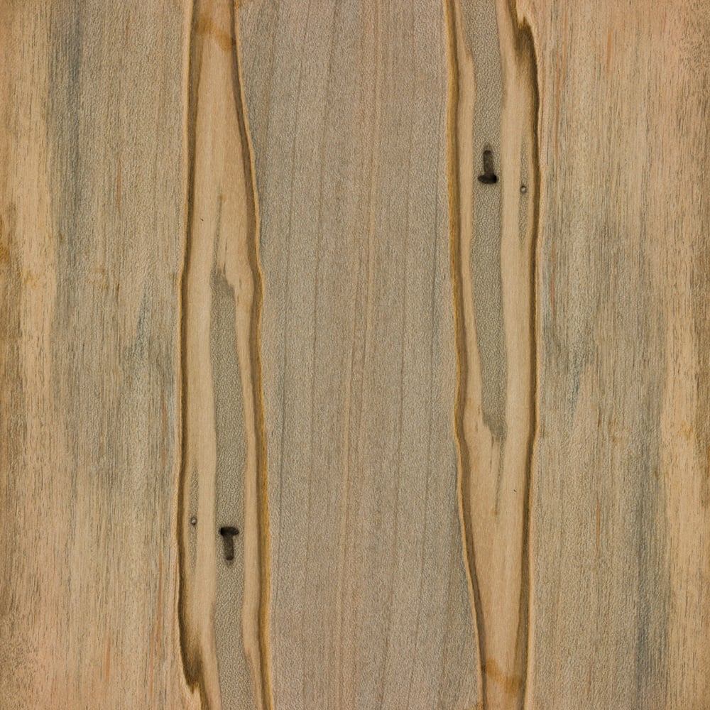 Plaine Ambrosia