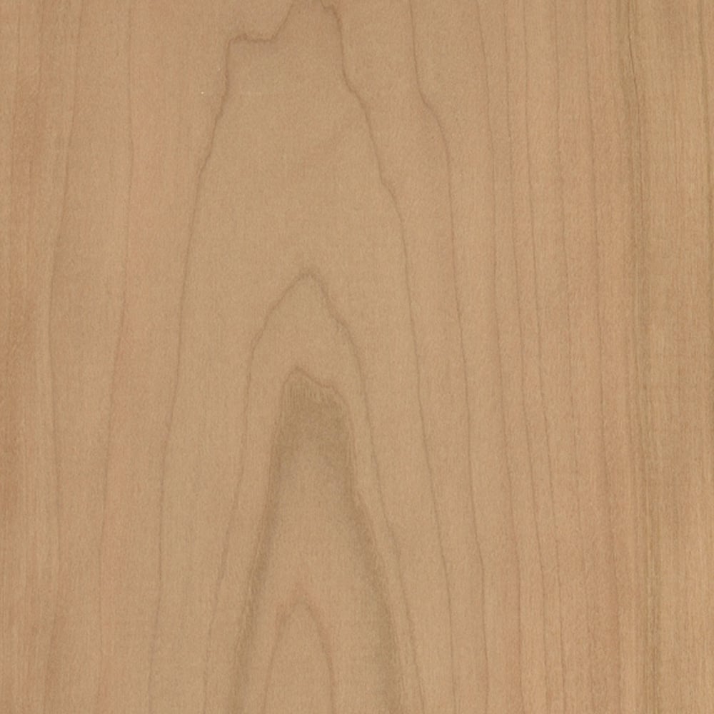 WoodPress Lot de 6 feuilles de placage en chêne blanc – 12 cm x 26 cm Marquerie et réparation de meubles 100 g 