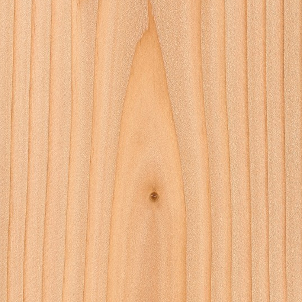 BcFIR (Douglas fir)